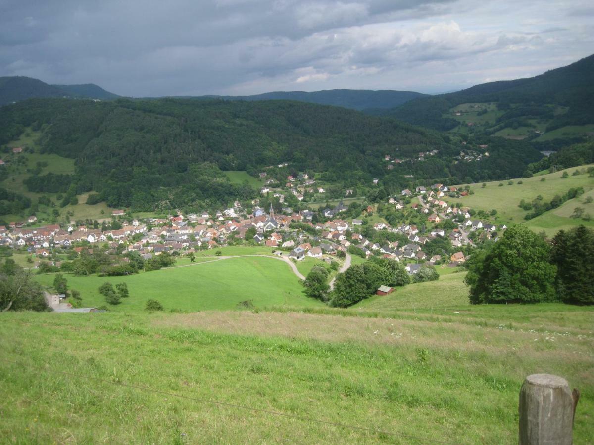 Gite En Pleine Verdure Au Coeur Du Village Lapoutroie Exterior photo